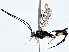  ( - BIOUG77760-G07)  @11 [ ] CreativeCommons - Attribution (2022) CBG Photography Group Centre for Biodiversity Genomics