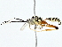  ( - BIOUG77761-D02)  @11 [ ] CreativeCommons - Attribution (2022) CBG Photography Group Centre for Biodiversity Genomics