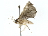  ( - BIOUG77763-D09)  @11 [ ] CreativeCommons - Attribution (2022) CBG Photography Group Centre for Biodiversity Genomics
