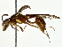  ( - BIOUG80101-A02)  @11 [ ] CreativeCommons - Attribution (2022) CBG Photography Group Centre for Biodiversity Genomics