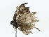  ( - BIOUG80101-D05)  @11 [ ] CreativeCommons - Attribution (2022) CBG Photography Group Centre for Biodiversity Genomics