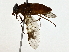  ( - BIOUG80101-F02)  @11 [ ] CreativeCommons - Attribution (2022) CBG Photography Group Centre for Biodiversity Genomics