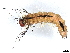  ( - BIOUG80101-H07)  @11 [ ] CreativeCommons - Attribution (2022) CBG Photography Group Centre for Biodiversity Genomics
