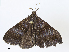  ( - CBG-A07059-A09)  @11 [ ] CreativeCommons - Attribution Share - Alike (2023) CBG Photography Group Centre for Biodiversity Genomics