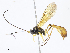  ( - CBG-A07059-D10)  @11 [ ] CreativeCommons - Attribution Share - Alike (2023) CBG Photography Group Centre for Biodiversity Genomics