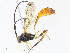  ( - CBG-A07059-D11)  @11 [ ] CreativeCommons - Attribution Share - Alike (2023) CBG Photography Group Centre for Biodiversity Genomics