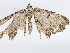  ( - CBG-A07060-F04)  @11 [ ] CreativeCommons - Attribution Share - Alike (2023) CBG Photography Group Centre for Biodiversity Genomics