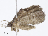  ( - CBG-A07060-F10)  @11 [ ] CreativeCommons - Attribution Share - Alike (2023) CBG Photography Group Centre for Biodiversity Genomics
