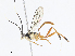  ( - CBG-A07075-C02)  @11 [ ] CreativeCommons - Attribution Share - Alike (2023) CBG Photography Group Centre for Biodiversity Genomics