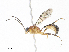  ( - CBG-A07075-C11)  @11 [ ] CreativeCommons - Attribution Share - Alike (2023) CBG Photography Group Centre for Biodiversity Genomics