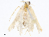  ( - CBG-A07075-F06)  @11 [ ] CreativeCommons - Attribution Share - Alike (2023) CBG Photography Group Centre for Biodiversity Genomics