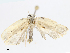  ( - CBG-A07081-E05)  @11 [ ] CreativeCommons - Attribution Share - Alike (2023) CBG Photography Group Centre for Biodiversity Genomics