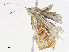  ( - CBG-A07081-G06)  @11 [ ] CreativeCommons - Attribution Share - Alike (2023) CBG Photography Group Centre for Biodiversity Genomics