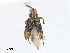 ( - CBG-A07082-C02)  @11 [ ] CreativeCommons - Attribution Share - Alike (2023) CBG Photography Group Centre for Biodiversity Genomics