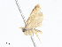  ( - CBG-A07083-A09)  @11 [ ] CreativeCommons - Attribution Share - Alike (2023) CBG Photography Group Centre for Biodiversity Genomics
