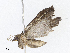  ( - CBG-A08742-B12)  @11 [ ] CreativeCommons - Attribution Share - Alike (2023) CBG Photography Group Centre for Biodiversity Genomics