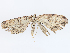  ( - CBG-A08743-B03)  @11 [ ] CreativeCommons - Attribution Share - Alike (2023) CBG Photography Group Centre for Biodiversity Genomics