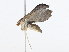  ( - CBG-A08743-C02)  @11 [ ] CreativeCommons - Attribution Share - Alike (2023) CBG Photography Group Centre for Biodiversity Genomics