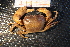  ( - R619-B07)  @13 [ ] Unspecified (default): All Rights Reserved  Unspecified Unspecified
