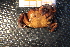  ( - R619-D10)  @11 [ ] Unspecified (default): All Rights Reserved  Unspecified Unspecified