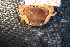  ( - R619-G05)  @11 [ ] Unspecified (default): All Rights Reserved  Unspecified Unspecified