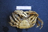  ( - R649-C02)  @13 [ ] Unspecified (default): All Rights Reserved  Unspecified Unspecified