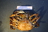  ( - R649-B09)  @13 [ ] Unspecified (default): All Rights Reserved  Unspecified Unspecified