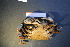  ( - R649-C01)  @13 [ ] Unspecified (default): All Rights Reserved  Unspecified Unspecified