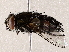  ( - BIOUG73650-H03)  @11 [ ] CreativeCommons - Attribution (2022) CBG Photography Group Centre for Biodiversity Genomics