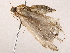  ( - BIOUG73651-G07)  @12 [ ] CreativeCommons - Attribution (2022) CBG Photography Group Centre for Biodiversity Genomics