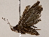  ( - BIOUG73651-H05)  @11 [ ] CreativeCommons - Attribution (2022) CBG Photography Group Centre for Biodiversity Genomics