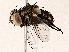  ( - BIOUG73652-A08)  @11 [ ] CreativeCommons - Attribution (2022) CBG Photography Group Centre for Biodiversity Genomics