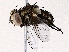  ( - BIOUG73652-A08)  @11 [ ] CreativeCommons - Attribution (2022) CBG Photography Group Centre for Biodiversity Genomics