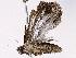  ( - BIOUG73652-C11)  @11 [ ] CreativeCommons - Attribution (2022) CBG Photography Group Centre for Biodiversity Genomics