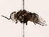  ( - BIOUG73652-E09)  @11 [ ] CreativeCommons - Attribution (2022) CBG Photography Group Centre for Biodiversity Genomics