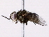  ( - BIOUG73652-E09)  @11 [ ] CreativeCommons - Attribution (2022) CBG Photography Group Centre for Biodiversity Genomics