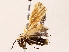  ( - BIOUG73653-D07)  @11 [ ] CreativeCommons - Attribution (2022) CBG Photography Group Centre for Biodiversity Genomics