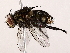  ( - BIOUG73653-F03)  @11 [ ] CreativeCommons - Attribution (2022) CBG Photography Group Centre for Biodiversity Genomics