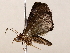  ( - BIOUG73653-H03)  @11 [ ] CreativeCommons - Attribution (2022) CBG Photography Group Centre for Biodiversity Genomics