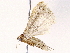  ( - BIOUG73654-A09)  @11 [ ] CreativeCommons - Attribution (2022) CBG Photography Group Centre for Biodiversity Genomics