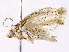  ( - BIOUG73654-E02)  @11 [ ] CreativeCommons - Attribution (2022) CBG Photography Group Centre for Biodiversity Genomics