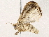  ( - BIOUG73654-F07)  @11 [ ] CreativeCommons - Attribution (2022) CBG Photography Group Centre for Biodiversity Genomics