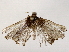  ( - BIOUG73654-G06)  @11 [ ] CreativeCommons - Attribution (2022) CBG Photography Group Centre for Biodiversity Genomics