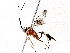  ( - BIOUG73655-B10)  @11 [ ] CreativeCommons - Attribution (2022) CBG Photography Group Centre for Biodiversity Genomics