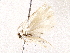  ( - BIOUG73655-H08)  @11 [ ] CreativeCommons - Attribution (2022) CBG Photography Group Centre for Biodiversity Genomics