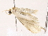  ( - BIOUG76532-C05)  @11 [ ] CreativeCommons - Attribution (2022) CBG Photography Group Centre for Biodiversity Genomics