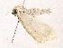  ( - BIOUG76532-C08)  @11 [ ] CreativeCommons - Attribution (2022) CBG Photography Group Centre for Biodiversity Genomics