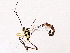  ( - BIOUG76532-D09)  @11 [ ] CreativeCommons - Attribution (2022) CBG Photography Group Centre for Biodiversity Genomics