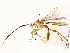 ( - BIOUG64405-F05)  @11 [ ] CreativeCommons - Attribution (2022) CBG Photography Group Centre for Biodiversity Genomics