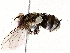  ( - BIOUG64405-F11)  @11 [ ] CreativeCommons - Attribution (2022) CBG Photography Group Centre for Biodiversity Genomics